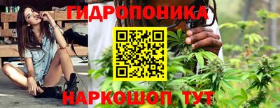 прущие грибы Комсомольск-на-Амуре